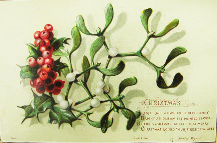 BRIGHT AS GLOWS THE HOLLY BERRY, BRIGHT AS GLEAM ITS POINTED LEAVES, BE THE GLADSOME SPELLS THAT MER - Planuri vegetale pentru 2015 - cadouri pentru Domnisoara