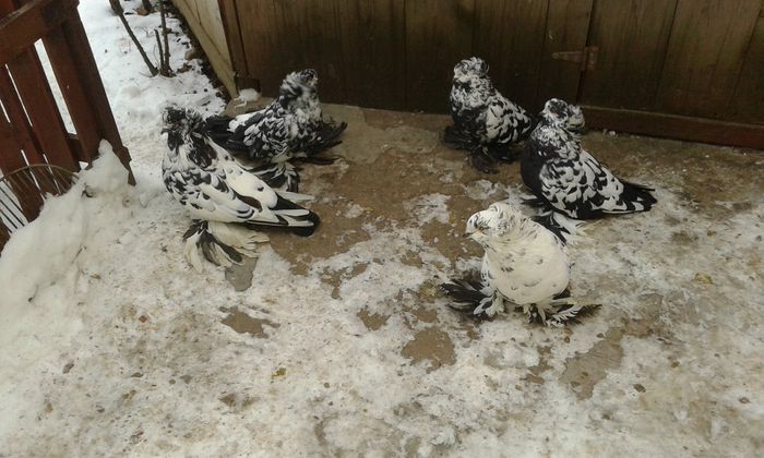 20150107_160510 - 2015