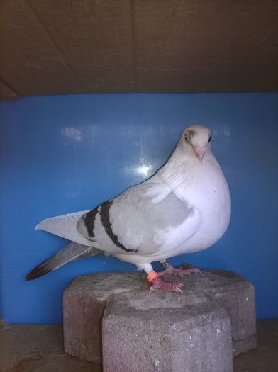 WP_20150107_071