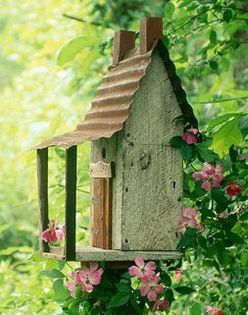  - 01 Hranitori si adaposturi pt pasarele