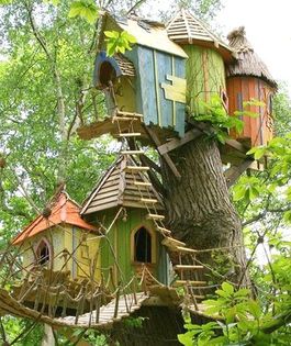  - 01 Hranitori si adaposturi pt pasarele