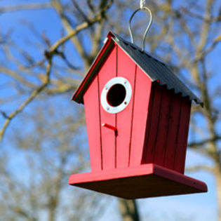  - 01 Hranitori si adaposturi pt pasarele