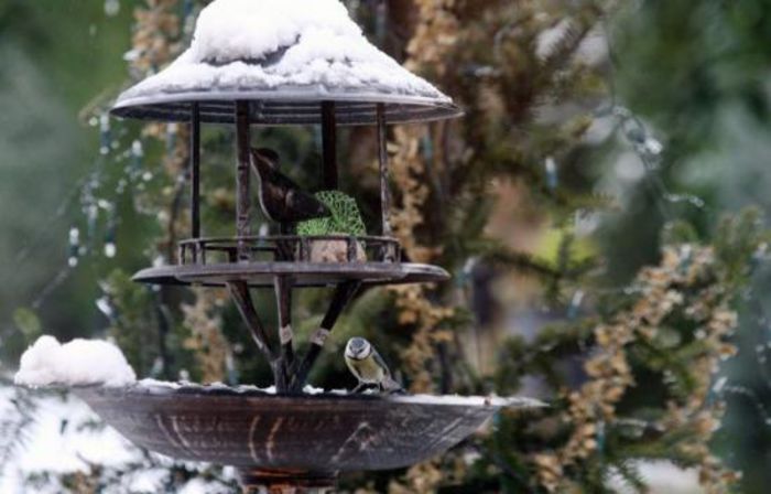  - 01 Hranitori si adaposturi pt pasarele