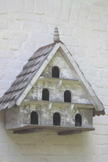  - 01 Hranitori si adaposturi pt pasarele