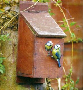  - 01 Hranitori si adaposturi pt pasarele