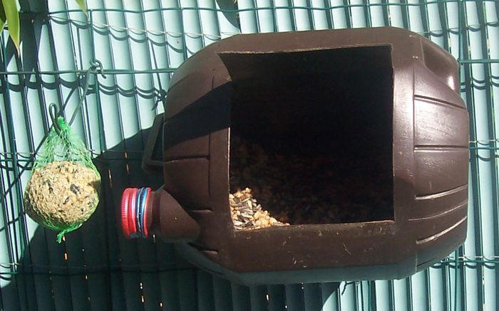 boite_oiseaux_1[1]