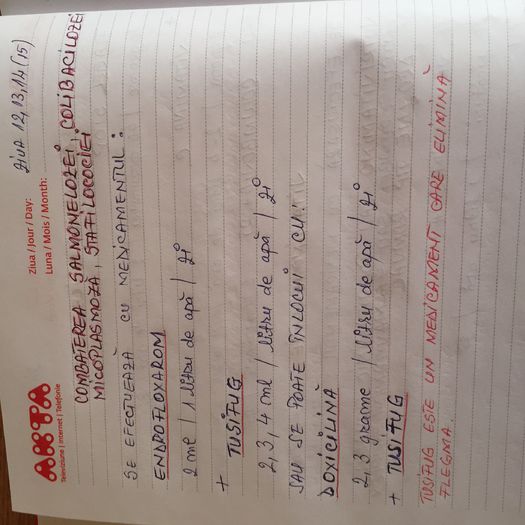 IMG_0349[1] - BOLI SI TRARAMENTE