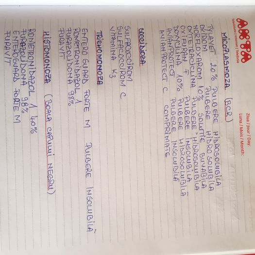 IMG_0371[1] - BOLI SI TRARAMENTE