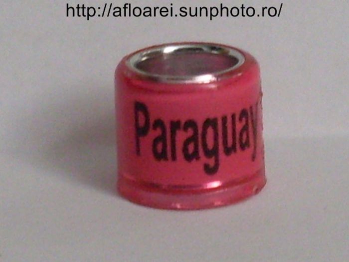 paraguay 2015 - PARAGUAY