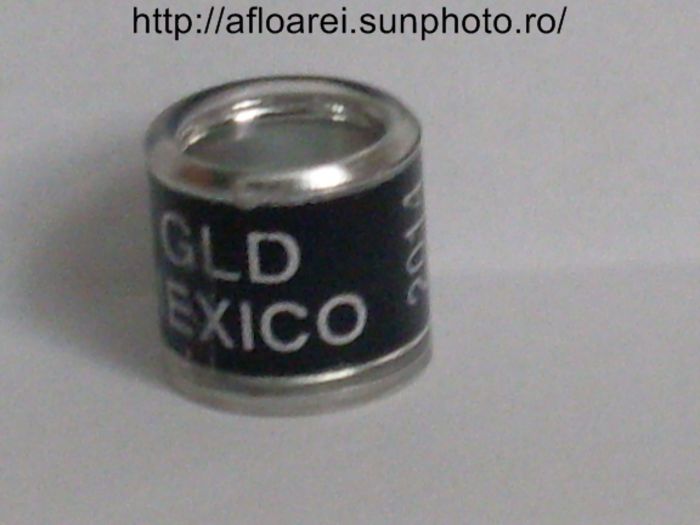 gld mexico 2014 - MEXIC