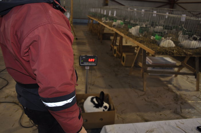 _DSC0758 - expozitie caransebes la Fauna Carasana