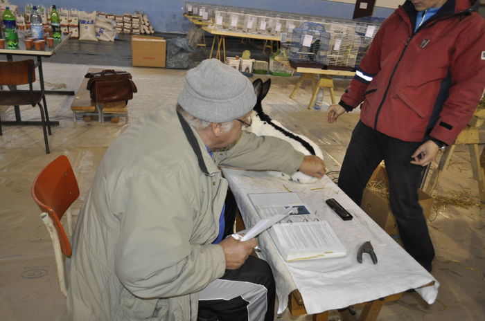 _DSC0759 - expozitie caransebes la Fauna Carasana
