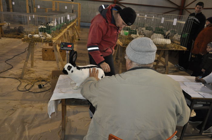 _DSC0760 - expozitie caransebes la Fauna Carasana