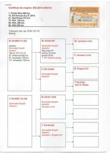 1-finala-500km-12-as-team-daniel-darius-ro-459310-14-f-dr-01-01-1 - CONCURSURI PREMIATE