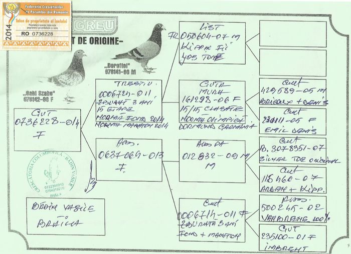 Scan0002 - pedigree