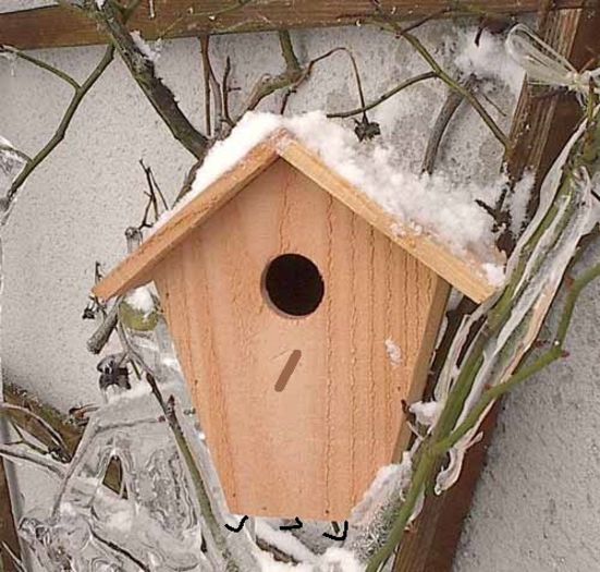 casuta carton-varianta lemn