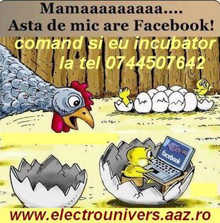 electrounivers.com - incubatoare oua - incubator prepelite