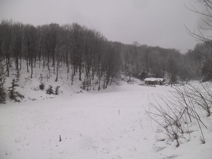 SAM_8812 - DE PRIN NATURA