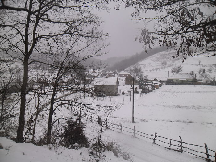 SAM_8837 - DE PRIN NATURA