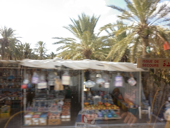 P1000721 (1) - poze tunisia 2014