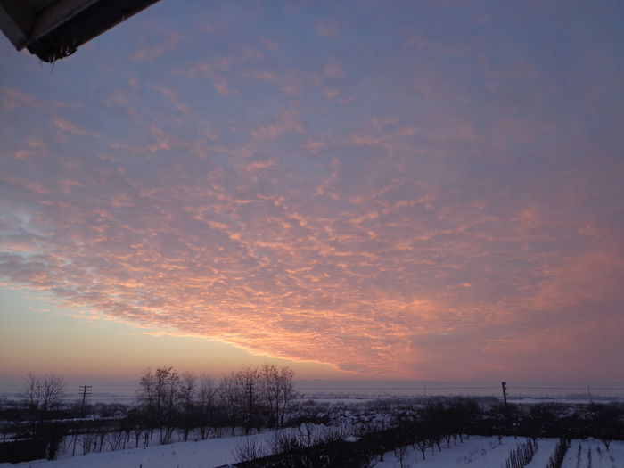 DSC05091