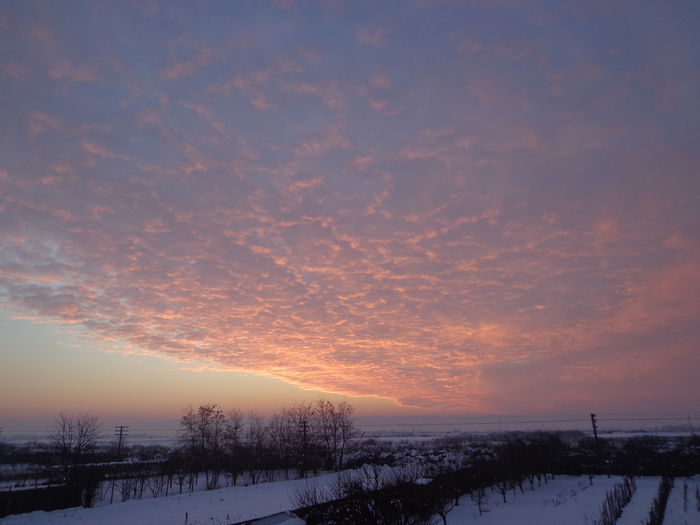 DSC05092