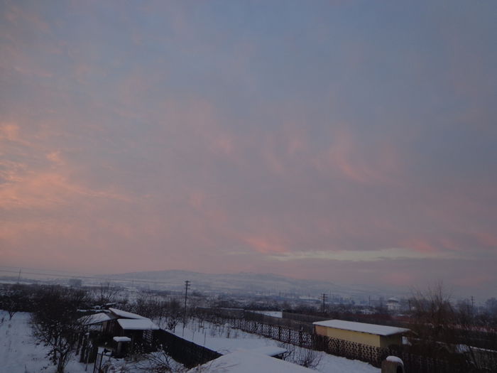 DSC05093