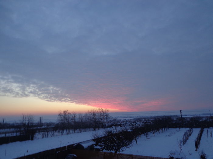 DSC05095