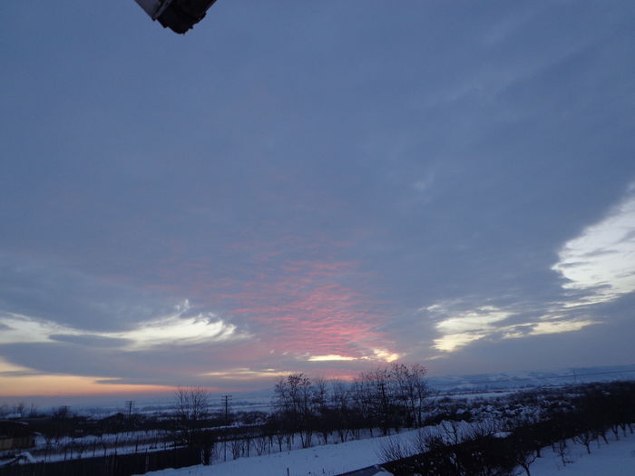 DSC05135