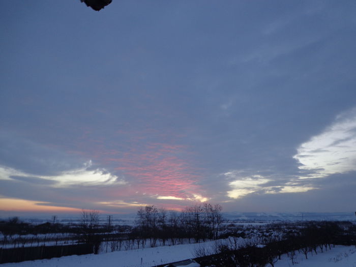 DSC05136