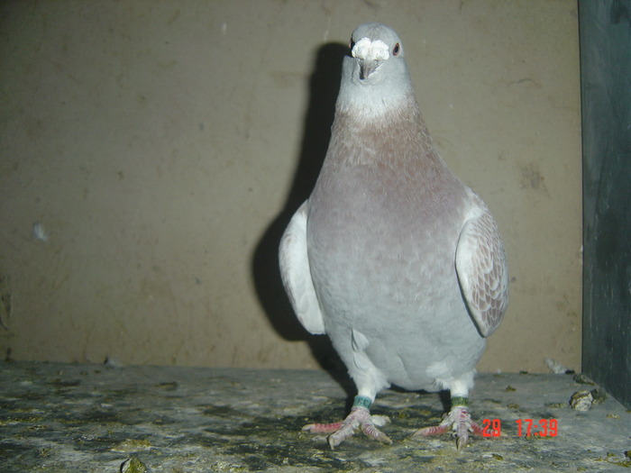 f08 - album 2010