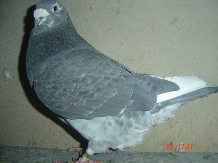 m08 - album 2010