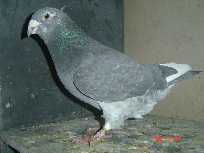 m08 - album 2010