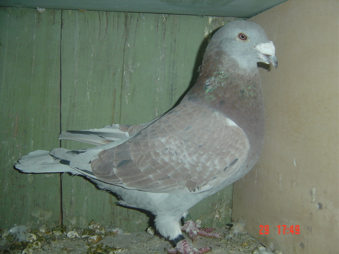 m06 - album 2010
