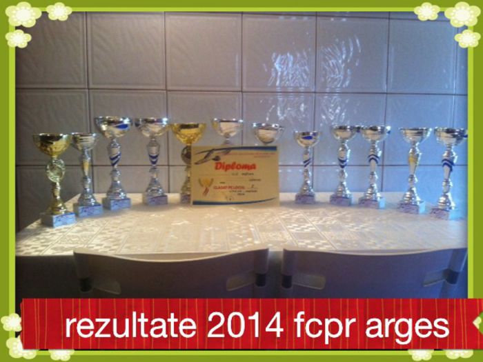 image - Rezultate 2014 fcpr AG