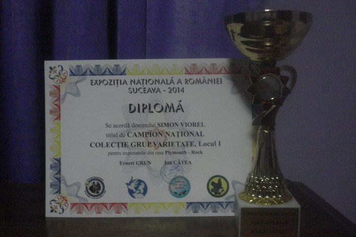 019; PRIMUL MEU TROFEU: CAMPION NATIONAL &quot;SUCEAVA 2014&quot;
