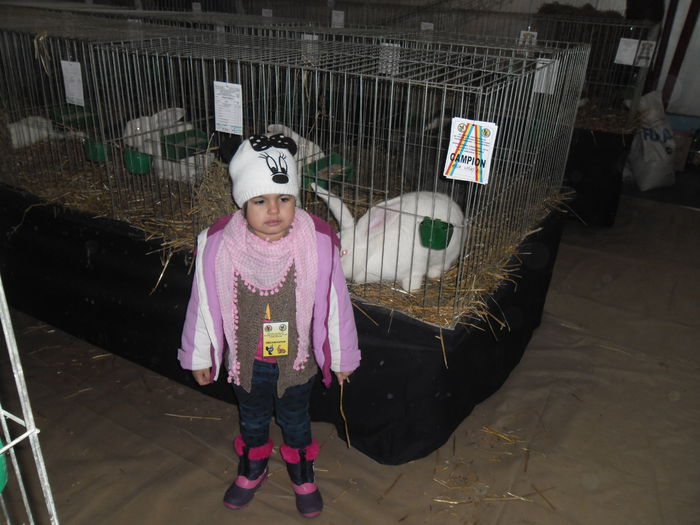 ADRIANA - EXPO FAUNA CARASEANA IANUARIE 2015