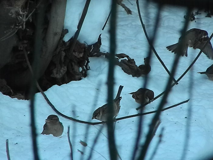 DSCN4107 - SOCIALIZARE_2