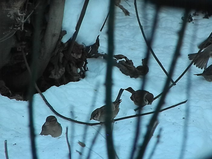 DSCN4108 - SOCIALIZARE_2