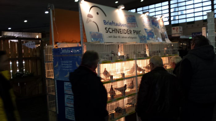 20150110_120528 - EXPO DORTMUND 2015