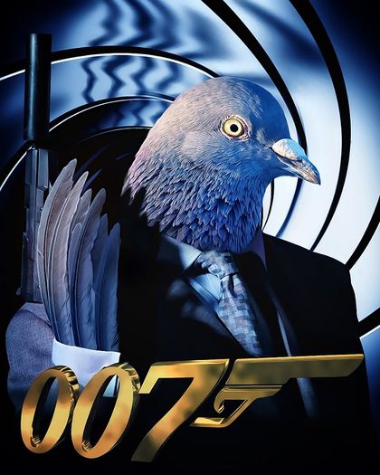 James-Bond - funny pigeons