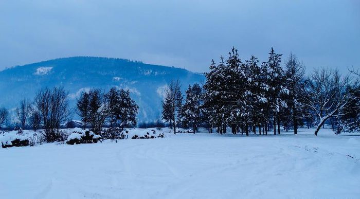  - Parcul dendrologic si inca