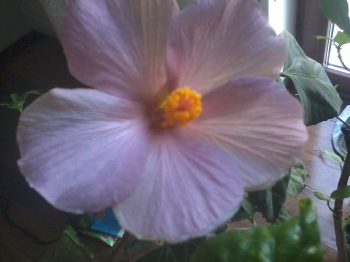 20150110_085150