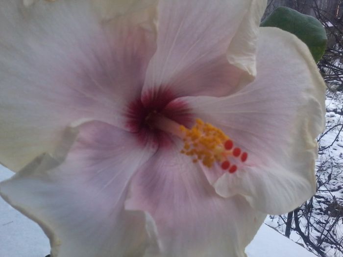 20141228_142436 - anna lynn