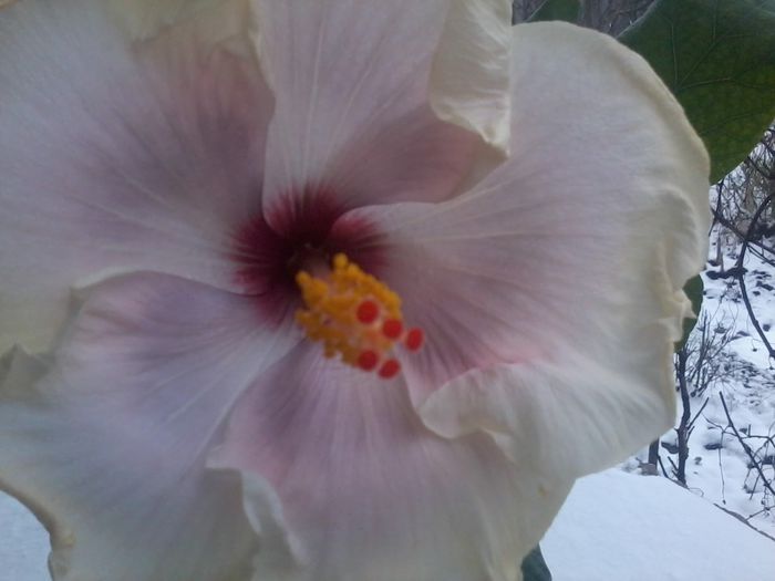 20141228_142447 - anna lynn