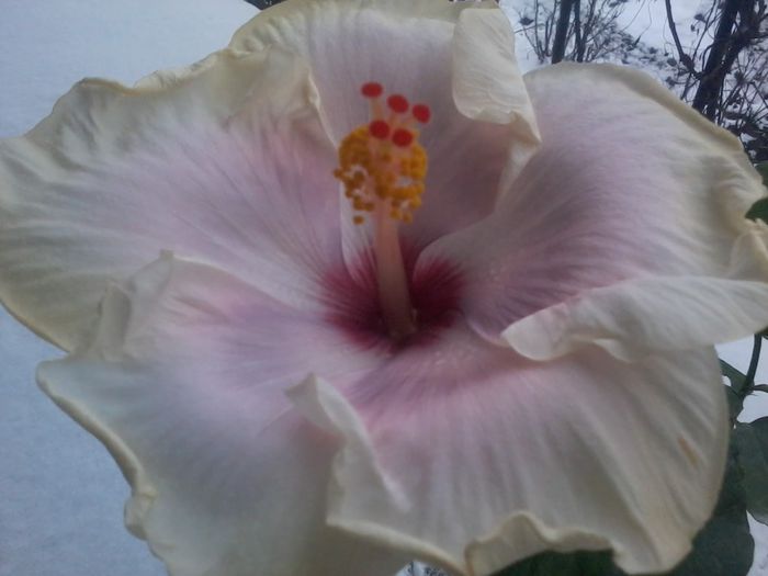 20141228_142502 - anna lynn