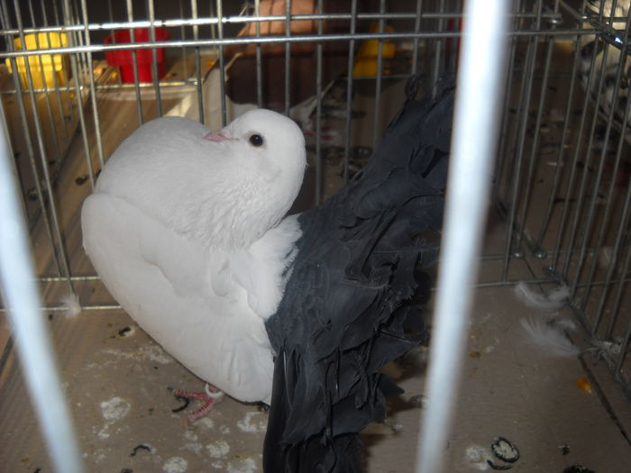 Picture 1343