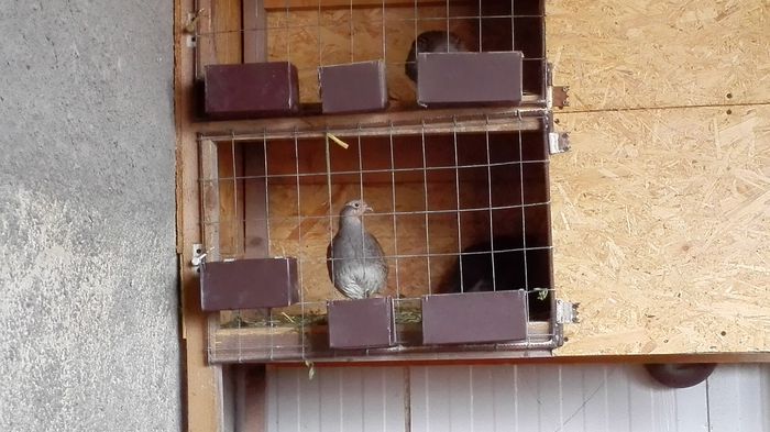 IMG_20150111_140135_1