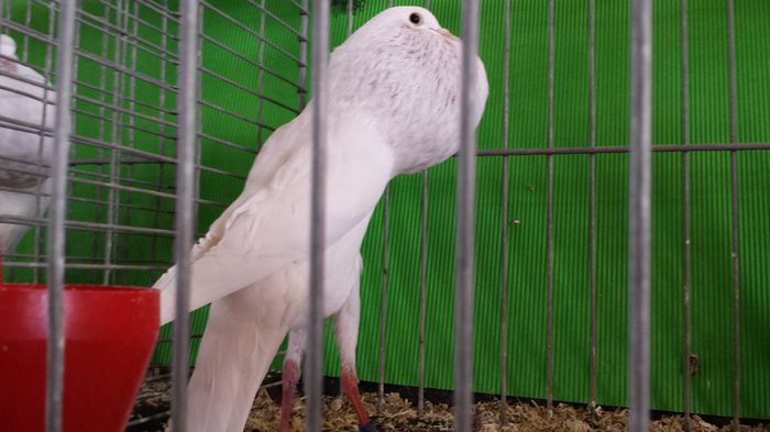 20150111_112158 - EXPO DORTMUND 2015