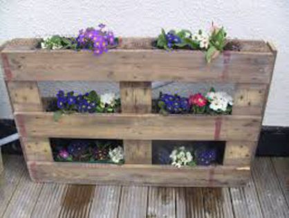 images (26) - constructii din lemn